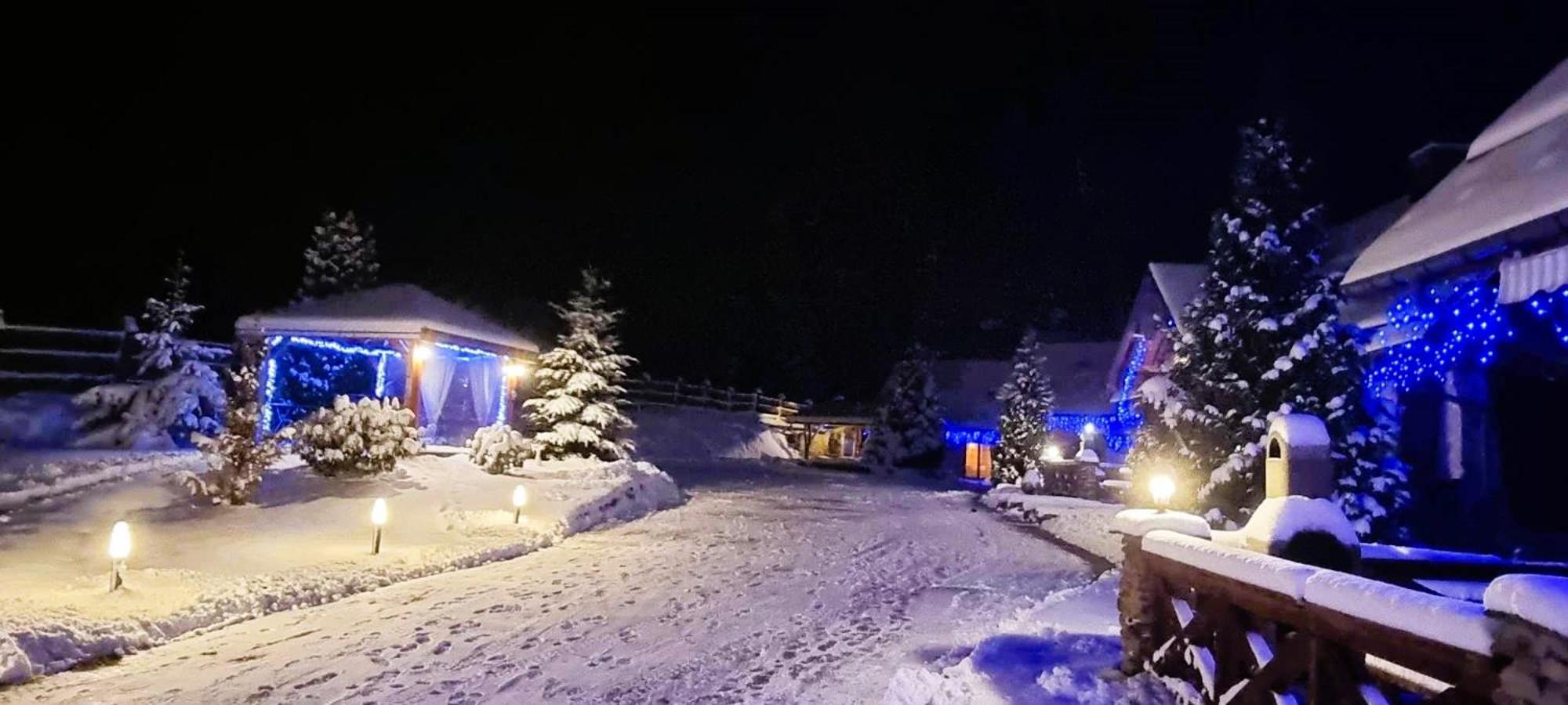 Osrodek Wczasowy Na Borach Βίλα Korbielów Εξωτερικό φωτογραφία